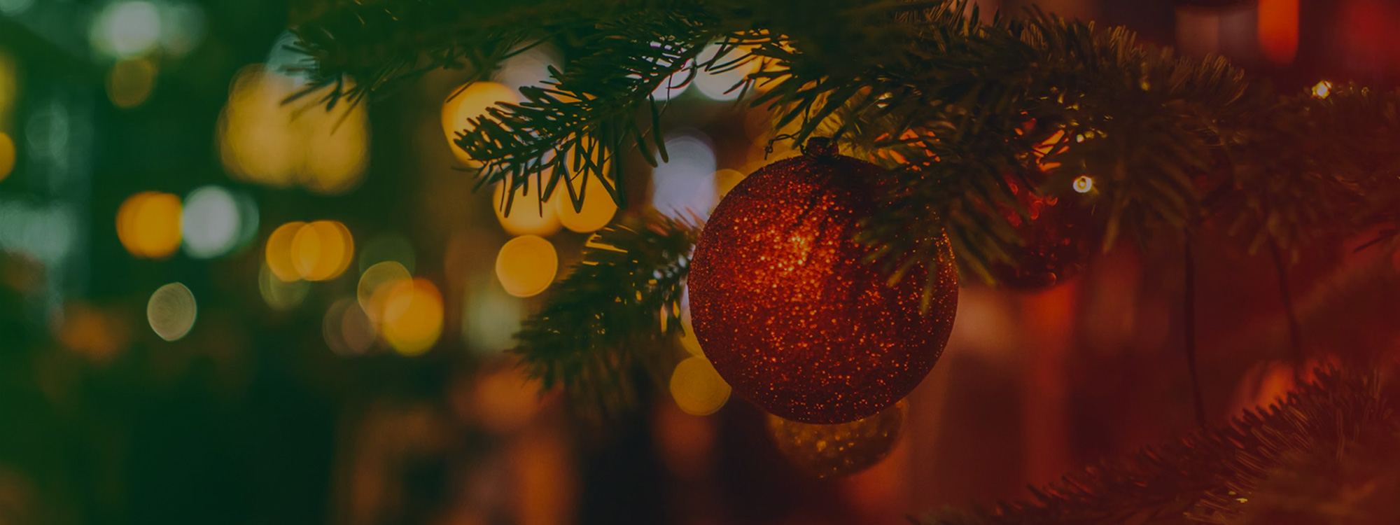 Christmas at St Mary's*Carol services and events*Find out more